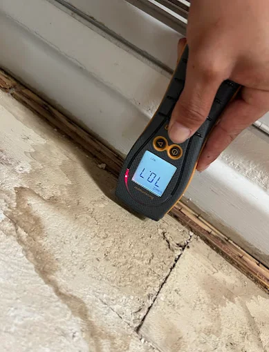 Moisture meter reading on concrete slab near baseboard in Schertz