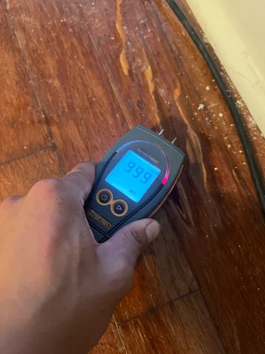 Moisture meter maxed at 999 on water-damaged hardwood floor in New Braunfels