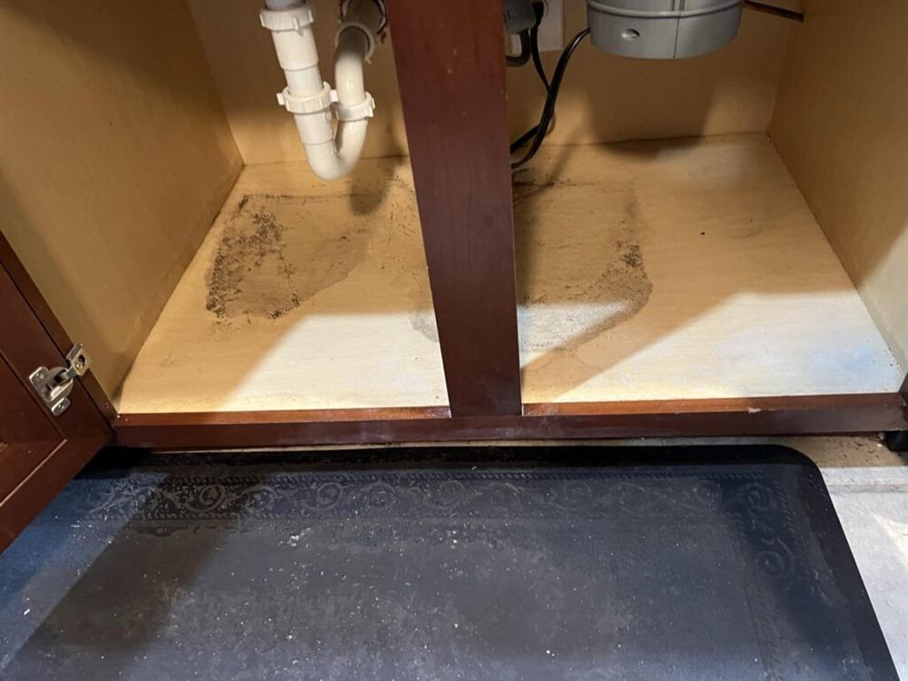 Under-sink cabinet with water staining and mold in Boerne